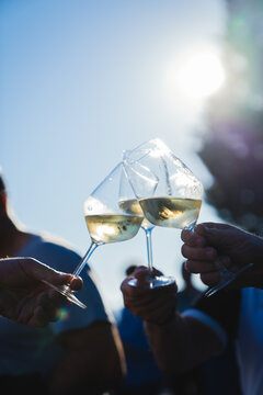 white wine glasses 