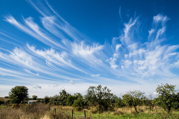 Cirrus cloud formations against blue sky