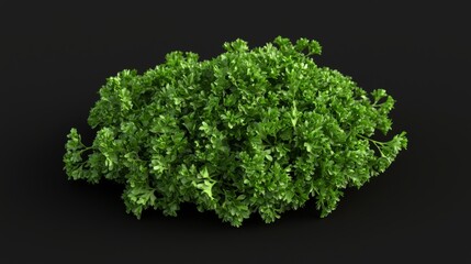 Obraz premium A bunch of green leaves on a black background