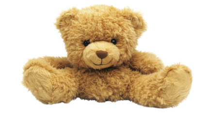 Obraz premium Plush bear transparent background