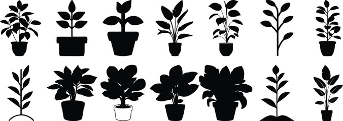 Plant silhouettes set, flower pack of vector silhouette design, isolated background