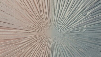 Obraz premium Premium background design featuring elegant white line pattern textured in refined luxury pastel colour palette. Modern, abstract, horizontal vector template ideal for business banners, formal backdro