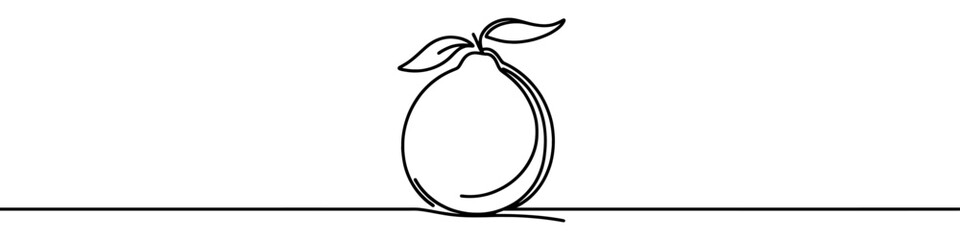 One continuous line illustration of a lime, isolated on white background. Line art of lime