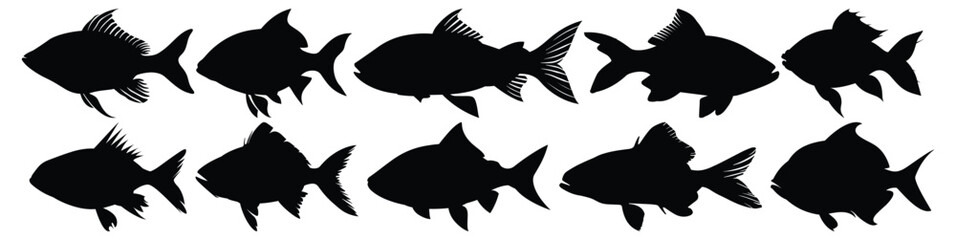 Fish silhouettes set, aquatic pack of vector silhouette design, isolated background