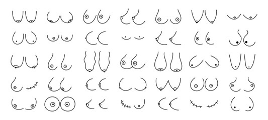 Woman breast. Doodle women body parts. Sketch simple different types, size, forms breasts. Female health and disease. Hand drawn feminine anatomy vector line icons