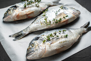 Three raw fresh fish dorado on baking paper on a black background. View from above.