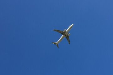 空を駆ける一瞬