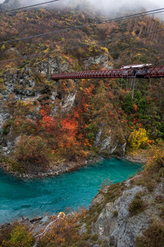 Bungy Jump Queenstown Autumn 