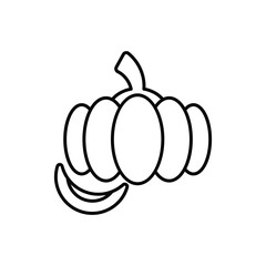 Pumpkin vector icon