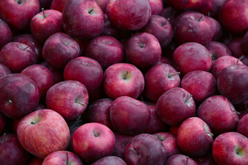 Ripe red apples piled as food background. colorful tasty and juicy fruits. pile of fresh red apples. Top view and flat lays. Banner for red apple fruit, red apple fruit backdrop.
