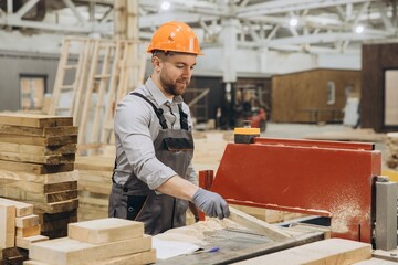 Carpenter working with wood plank and sawdust in factory