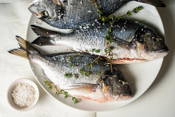 Raw fresh sea bream fish with salt and oregano on a white plate and a light background, ready to cook.