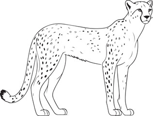 Powerful Leopard Illustration - Wildlife Line Art Sketch