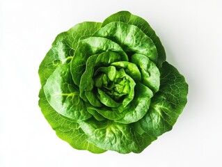 Fresh Butter Lettuce Head in Top View, Isolated on White Background for Healthy Salad Inspiration