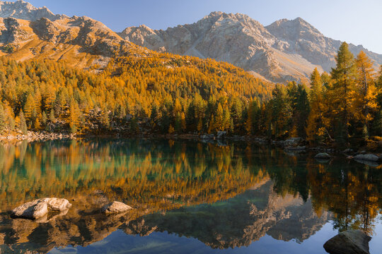 Scenic view of lake in Swiss Alps surrounded by autumn forest 