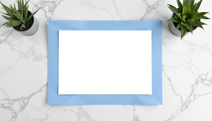 Modern certificate design with blank white center and blue border on marble surface with plant