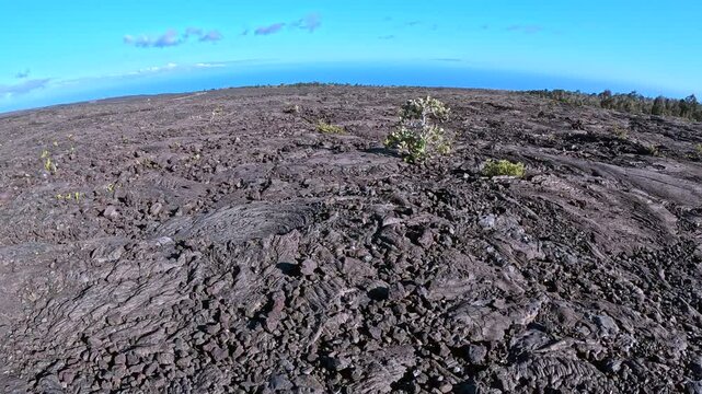 Hiking on Lava Flows Along Chain of Craters Road, Hawaii Volcanoes National Park in 4K. 