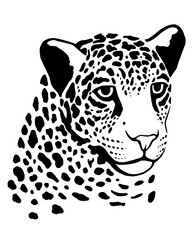Hand-drawn leopard face in bold black and white stylized design on a white background	
