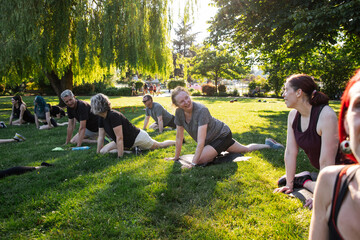 Community Yoga Class Outdoors in Sunny Park Setting