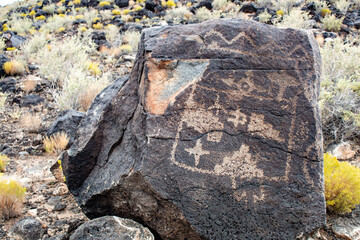 Ancient petroglyphs carved into volcanic rock at Petroglyph Monument, showcasing indigenous cultural heritage in Albuquerque.
