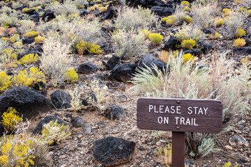 Trail sign urging visitors to stay on path at Petroglyph Monument, Albuquerque, amidst desert vegetation and volcanic rocks