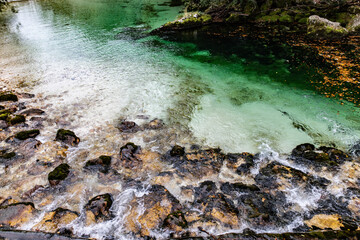 A pristine river with clear water, moss-covered rocks, and vibrant green reflections in a natural setting