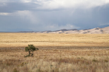 Fototapeta premium Storm sky over Great Sand Dunes National Park, Colorado 