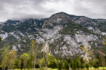 Rocky mountains with a lush forest base and misty clouds covering the peaks