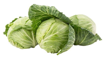 Fototapeta premium cluster of cabbage isolated on transparent background