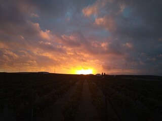 atardeceres naranjas con siluetas de casas 