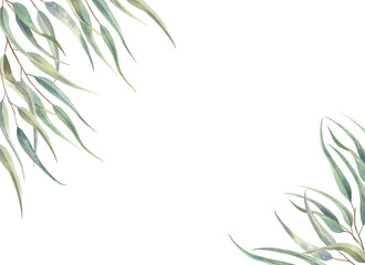 Fototapeta premium Watercolor frame with eucalyptus branches with green long leaves.