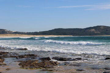 Aves, playa