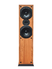 Big, acoustic speaker made of wood. Professional sound system. The speaker is placed on a white...