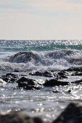 Fototapeta premium Paisajes, animales