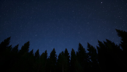 Fototapeta premium Virgo constellation in starry sky over conifer forest at night, low angle view isolated with white highlights, png