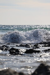 Obraz premium Paisajes, animales