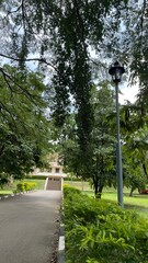 light lamp in the park natural photography 