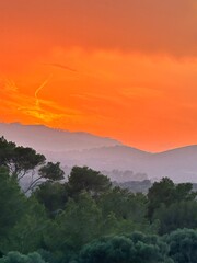 Paisajes, atardecer, amanecer, flores, playa, 