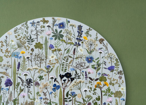 Wild meadow tondo close up