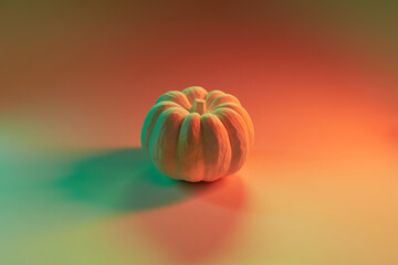 Ripe ornamental pumpkin illuminated with neon light in studio