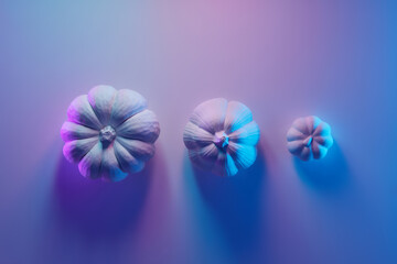Three pumpkins standing in row in studio with blue and violet gradient