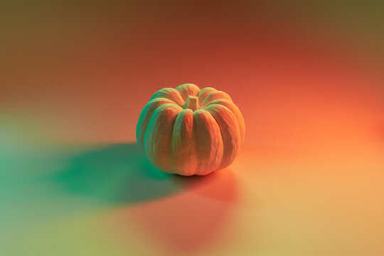 Ripe ornamental pumpkin illuminated with neon light in studio