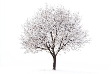 A lone tree stands out against the snowy backdrop, perfect for winter-themed designs