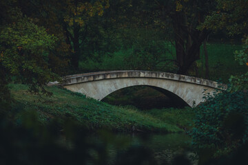 Stone bridge in lush green forest during autumn