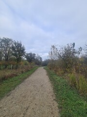 Naturpfad in einem Park in Berlin Hellersdorf, mit atmosphärischem Himmel