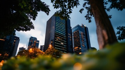 Obraz premium Evening Cityscape: Skyscrapers Viewed Through Lush Foliage