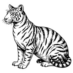 Fototapeta premium Majestic tiger sitting in black and white illustration