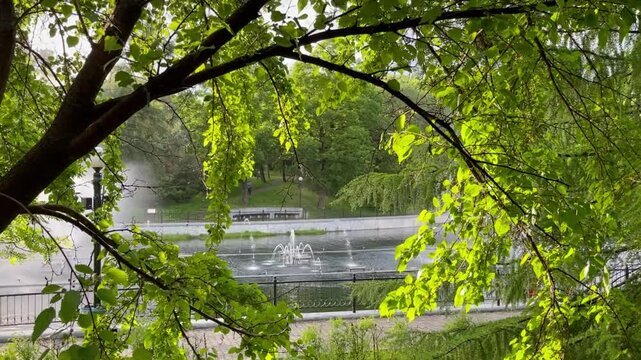 Beautiful fountain spraying water in city pond in summer with green trees around