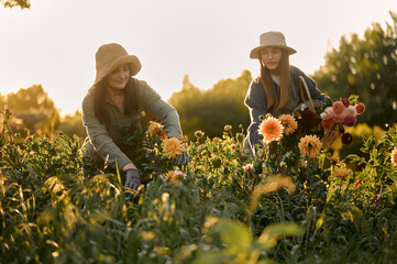 mother and daughter take care of flowers in the garden