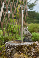 A Charming Owl Statue Gracefully Perched on a Stump, Beautifully Surrounded by Nature